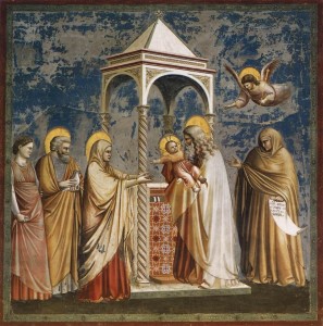 Presentazione di Gesù al tempio_Giotto