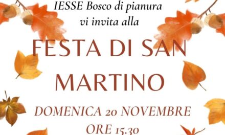 Festa di San Martino a Sammartini